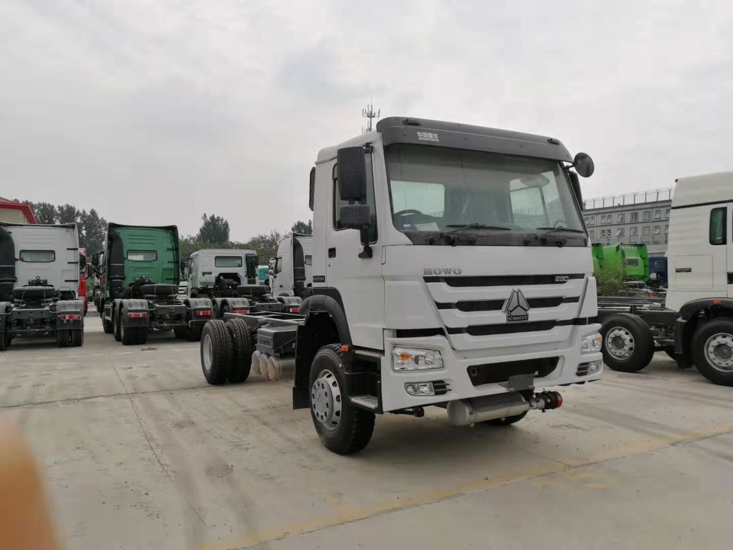 HOWO أبيض اللون 4x2 يورو 2 شاحنة بضائع ثقيلة مع محرك 290 حصان وتوجيه ZF8118