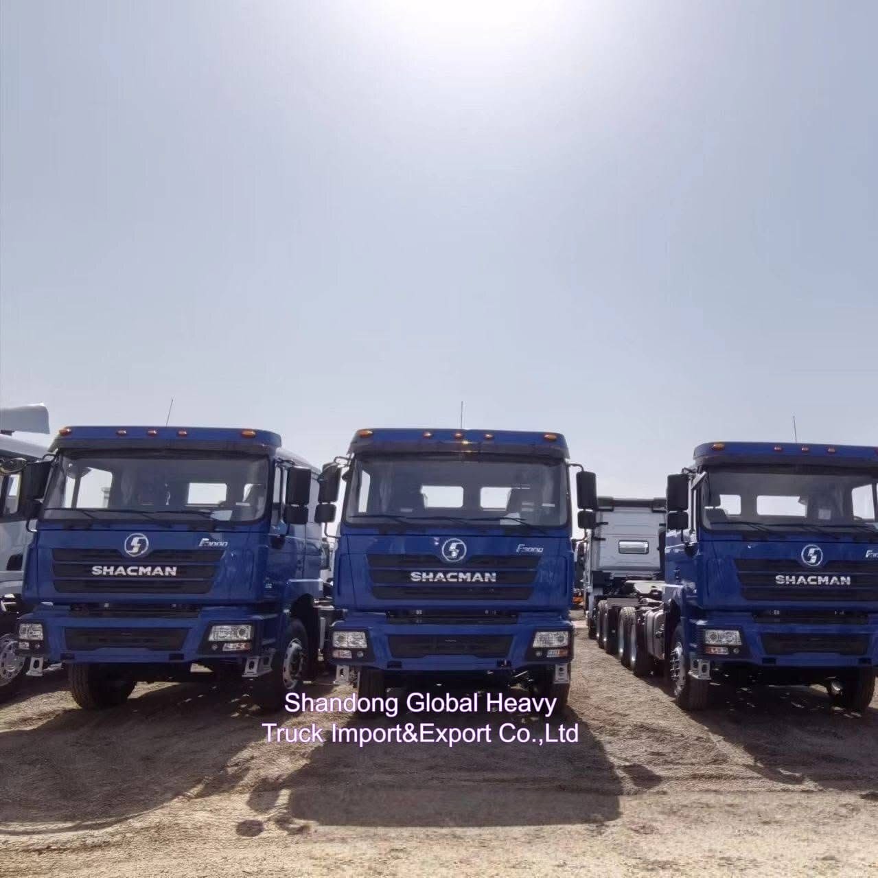 30 طن شاكمان F3000 6x4 10 عجلات شاحنة القمامة لعمل التعدين